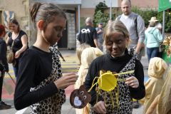 FV_Corta_2011-043