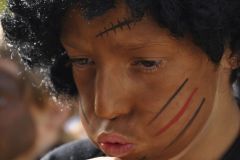 FV_Corta_2011-052