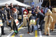 FV_Corta_2011-054