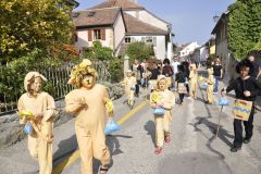 FV_Corta_2011-061