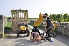 FV_Corta_2011-063