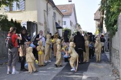 FV_Corta_2011-073