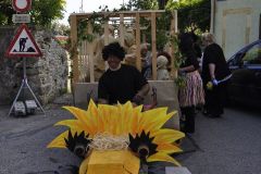 FV_Corta_2011-074