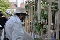 FV_Corta_2011-075