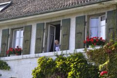 FV_Corta_2011-088