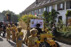 FV_Corta_2011-096