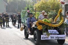 FV_Corta_2011-132