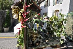 FV_Corta_2011-137
