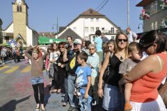 FV_Corta_2011-139