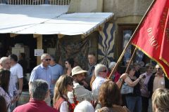 FV_Corta_2011-158