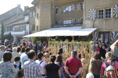 FV_Corta_2011-160