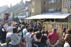 FV_Corta_2011-163