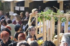 FV_Corta_2011-165