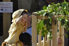 FV_Corta_2011-166