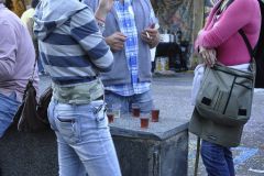 FV_Corta_2011-209