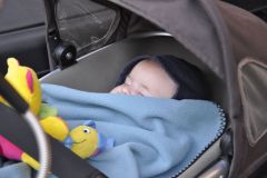 FV_Corta_2011-227