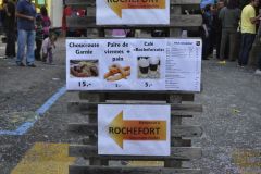 FV_Corta_2011-231